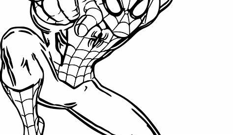 Spiderman disegni da colorare