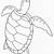 disegni di tartarughe marine da colorare