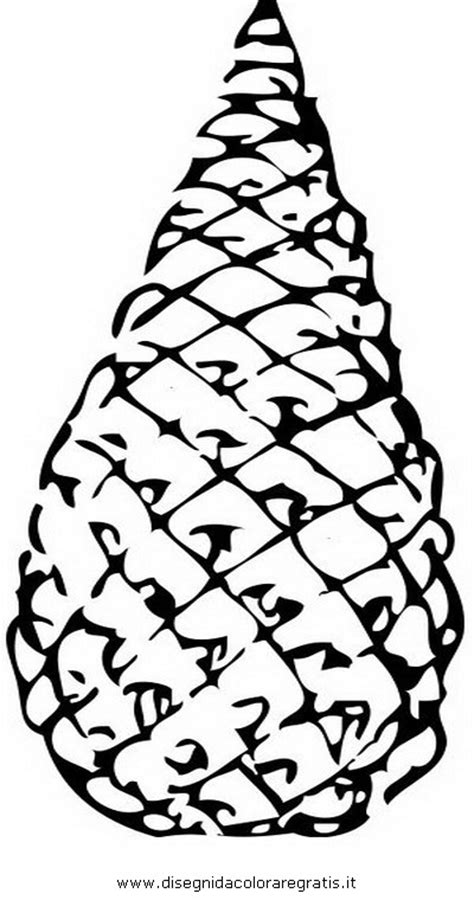 Hand drawing pine cone — Stock Vector © goldenshrimp