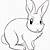 disegno di un coniglio da colorare