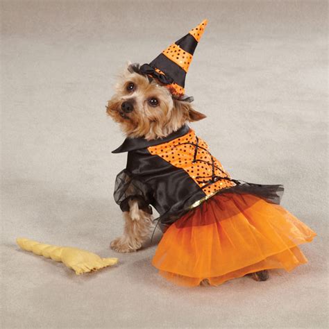 disfraz de halloween para perros