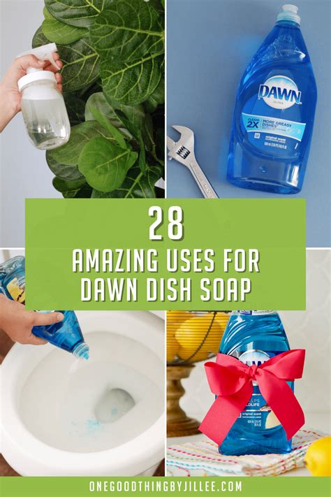 Dish Soap Uses