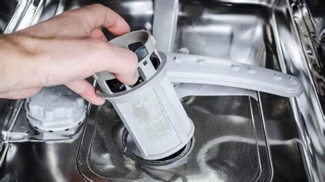 dishwasher drain filter