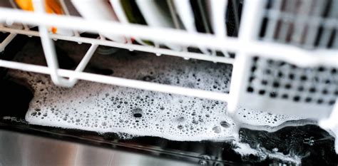 Dishwasher Draining Issues