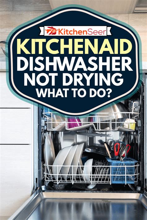 Dishwasher First Run
