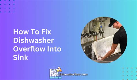 Dishwasher Overflows Into Sink