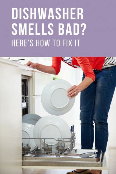 Dishwasher Smells Bad When Drying