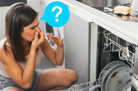 Dishwasher Smells Bad When Running