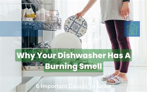 Dishwasher Smells Funky
