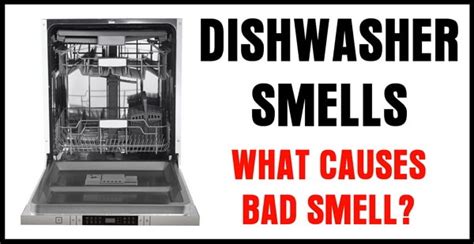 Dishwasher Smells Only When Running