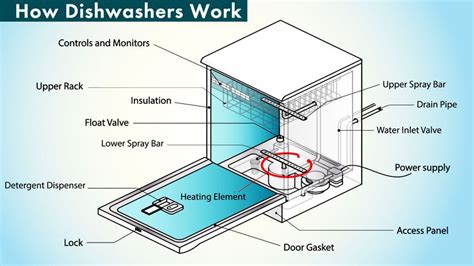 dishwasher working process