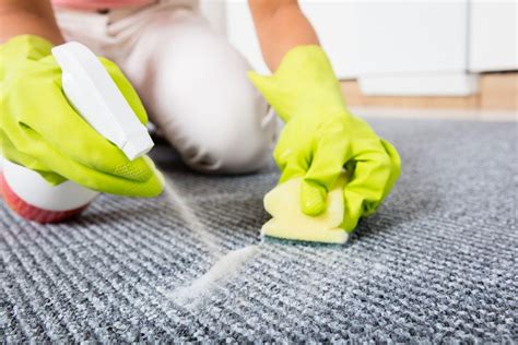 disinfecting carpets and getting rid of wet mold amell