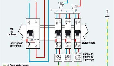 Schema branchement disjoncteur differentiel triphase