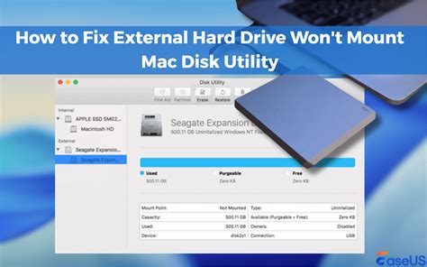Disk Not Mount On Mac