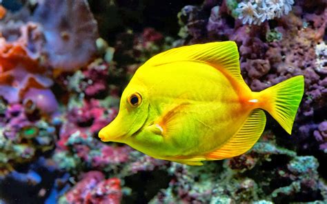 Regrann from The princess parrot fish is proof that