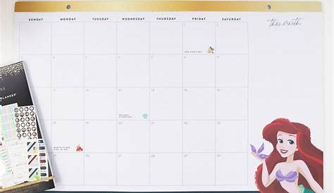 The Happy Planner® Disney 18 Month Desk Calendar - Walmart.com
