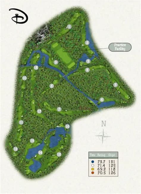 disney palm course layout