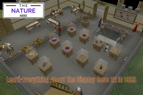 Display Case Osrs