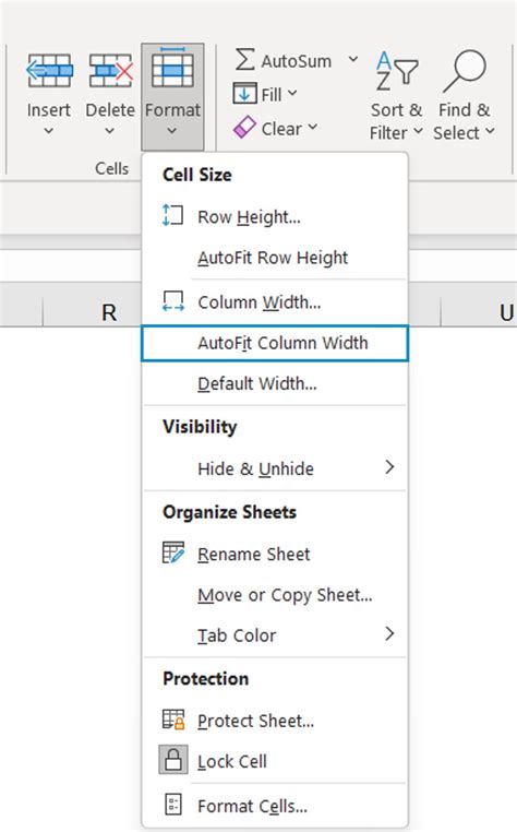 Display Column Width Function Excel