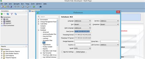 display date and time in oracle sql developer