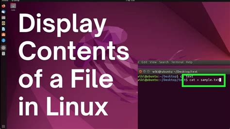 Display File Linux