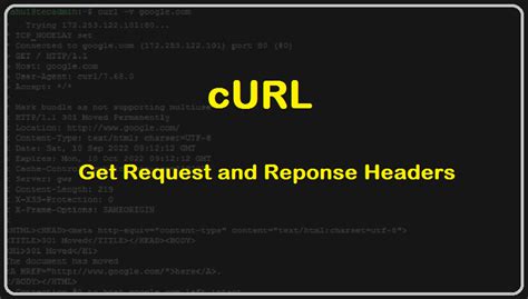 Display Status Code Curl
