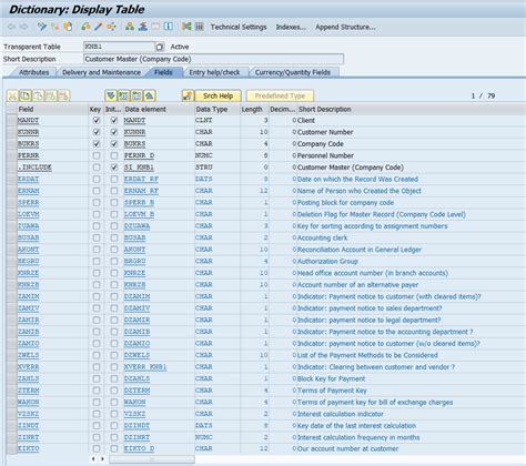 Display Table Sap Transaction