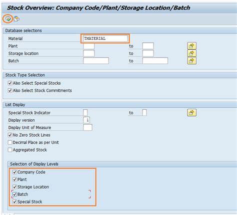 Display Warehouse Stocks Of Material Sap Tcode
