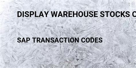 Display Warehouse Stocks Of Material Sap Transaction Code