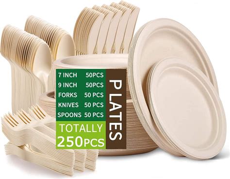 Disposable Plates Types