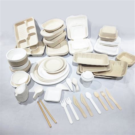 Disposable Tableware China