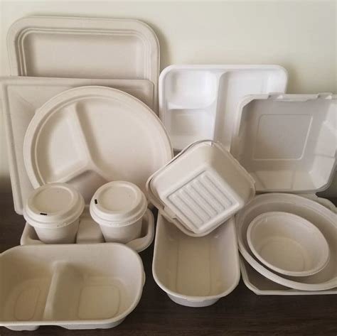 Disposable Tableware Food
