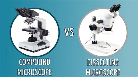 Dissecting Microscope And Compound Light Microscope
