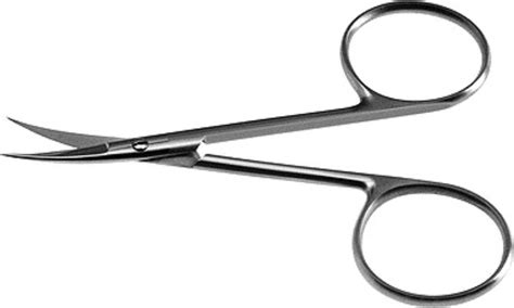 Dissecting Scissors Function