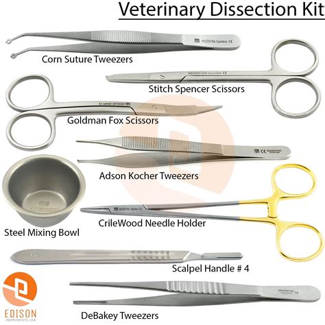 Dissection Kit Tool Names