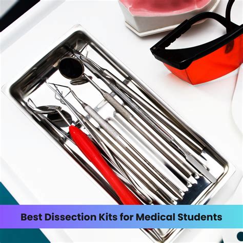 Dissection Kits For Middle School