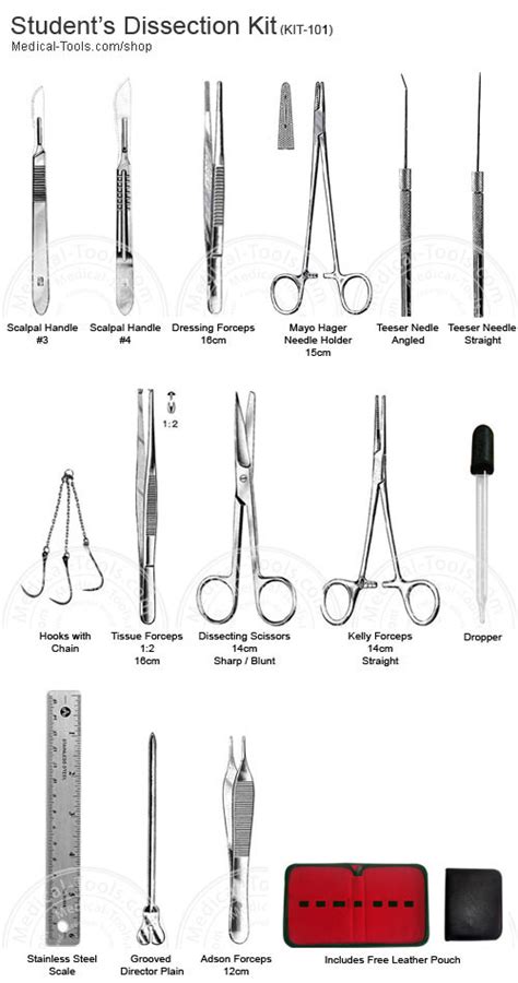 Dissection Tools And Functions