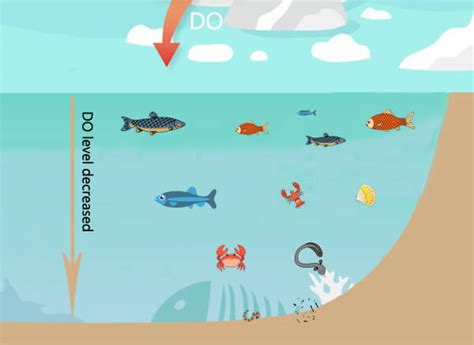 Dissolved Oxygen Content Definition
