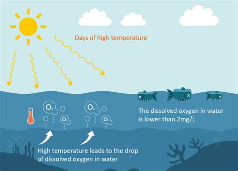 Dissolved Oxygen In Water Diagram Dissolved Oxygen And Tempe