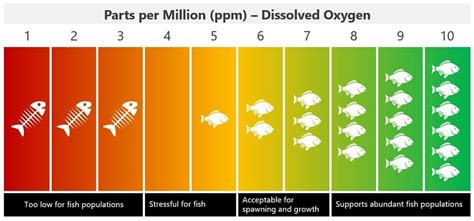 Dissolved Oxygen In Water Ppm For Fish