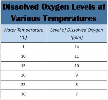 Dissolved Oxygen Levels And Temperature Graph Paper