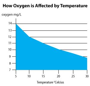 Dissolved Oxygen Levels For Hydroponics