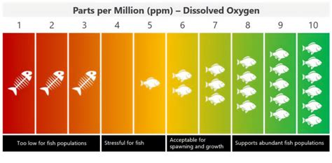 Dissolved Oxygen Levels In Ponds