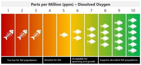 Dissolved Oxygen Levels In Water Ppm
