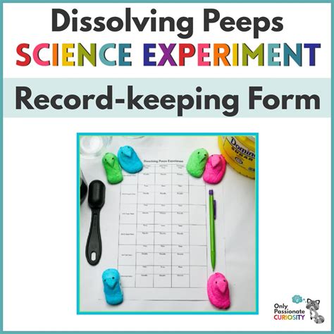 Dissolving Peeps Experiment Recording Sheet