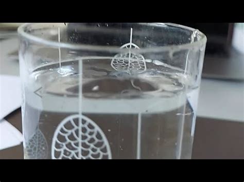 Dissolving Vitamin C Tablets In Water Experiment