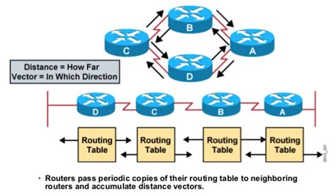 Distance Vector Routing Protocol To Prevent Loops