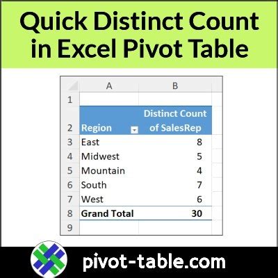 Excel Distinct Count in Spreadsheets and Pivot Tables