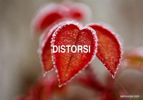 Distorsi