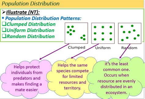 Distribution Patterns Examples